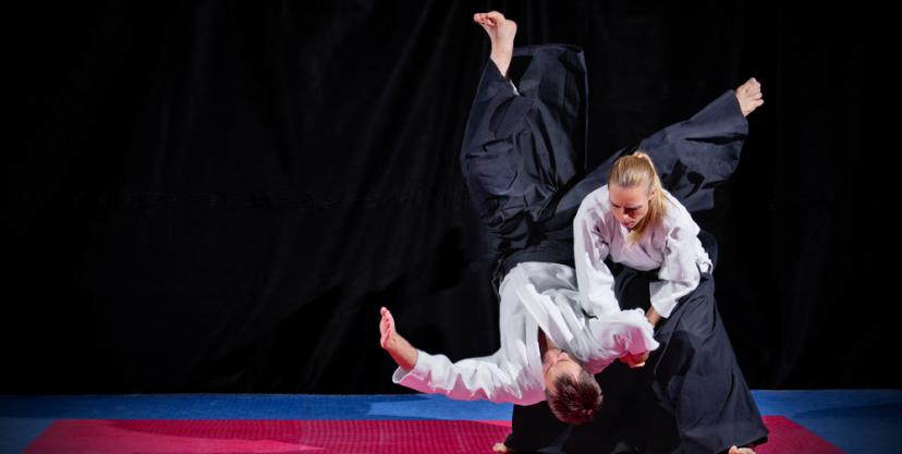 Cours aikido dans l ariege Cours aikido dans l ariege